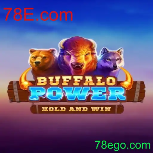 Explorando BuffaloPower e Sua Interatividade com 78E.com